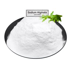 Sodium Alginate Powder Manufacturer - Food Grade CAS 9005-38-3 Bulk in Stock
