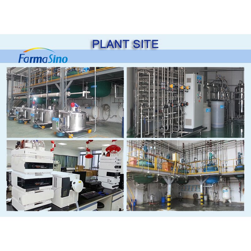 WS-23 Cooling Agent Factory - White Powder Crystal N Supply