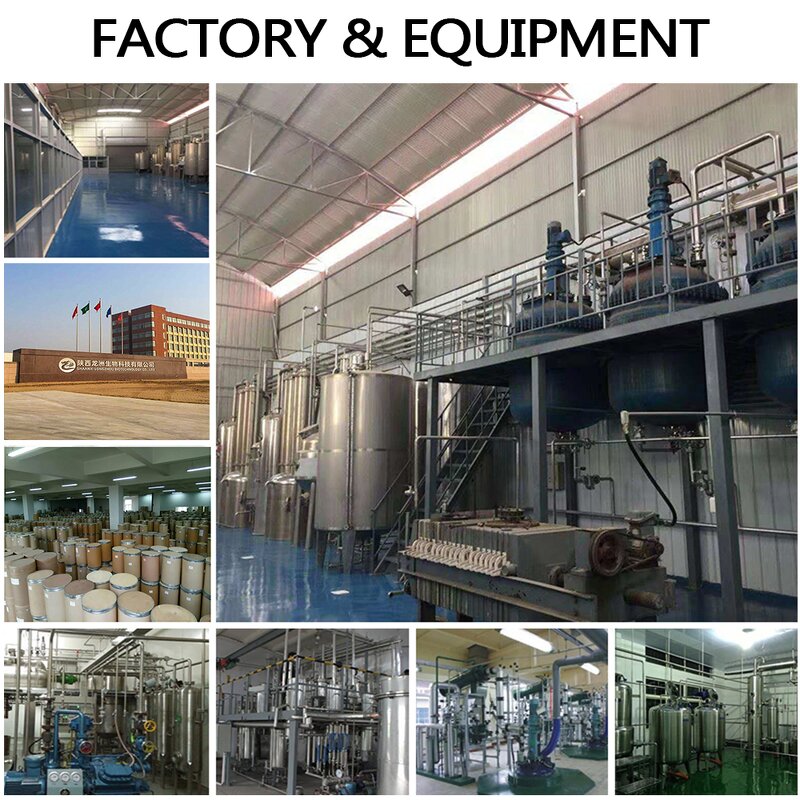 Sodium Butyrate Powder - 99% Feed Grade CAS 156-54-7 Animal Feed Additive