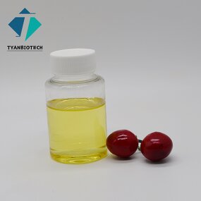 Turpentine Oil - High Quality Pure Bulk Gum Rosin Industrial Grade Oil