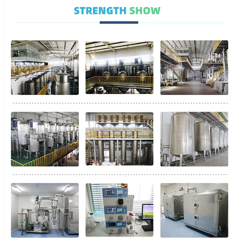 Creatine Monohydrate Powder - High Quality 99% Food Grade 200 Mesh