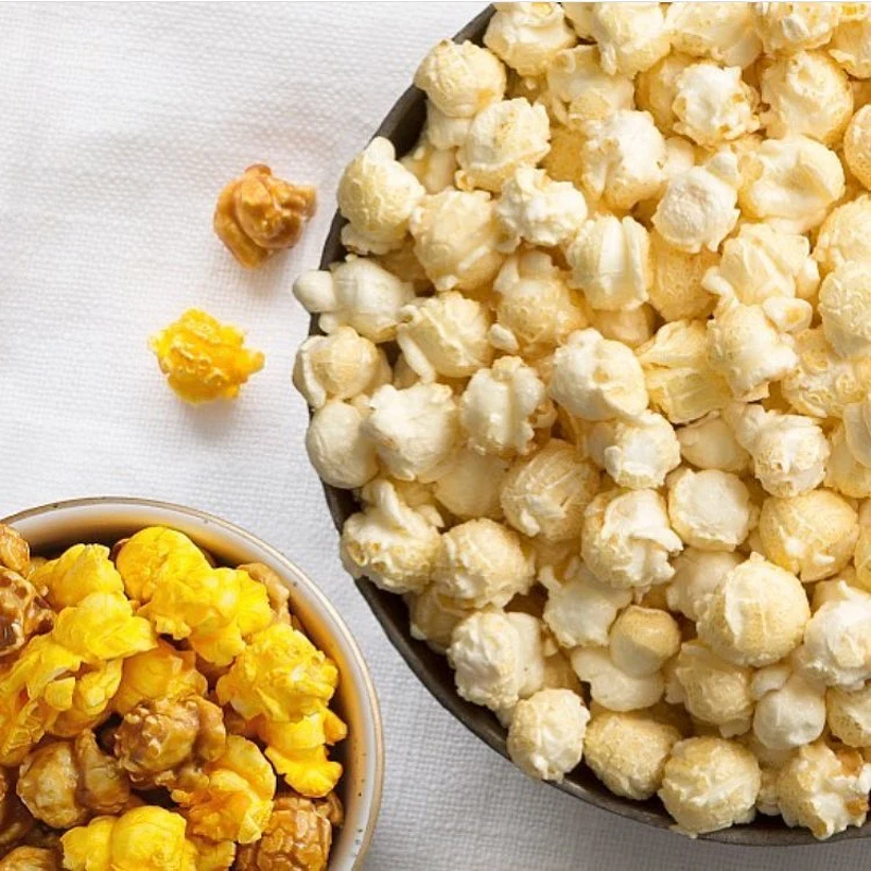 Cheese Analogues Powder - Cheddar Mozzarella High Concentration Flavor