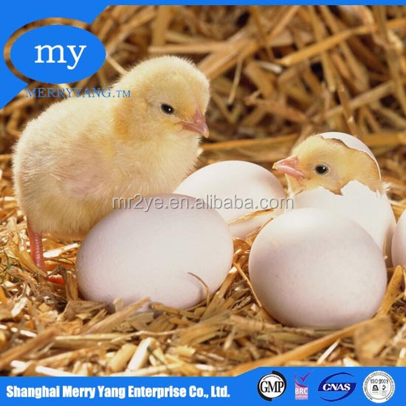 Sodium Aluminum Sulfate - Food Grade Sodium Sulphide Wholesale Additive