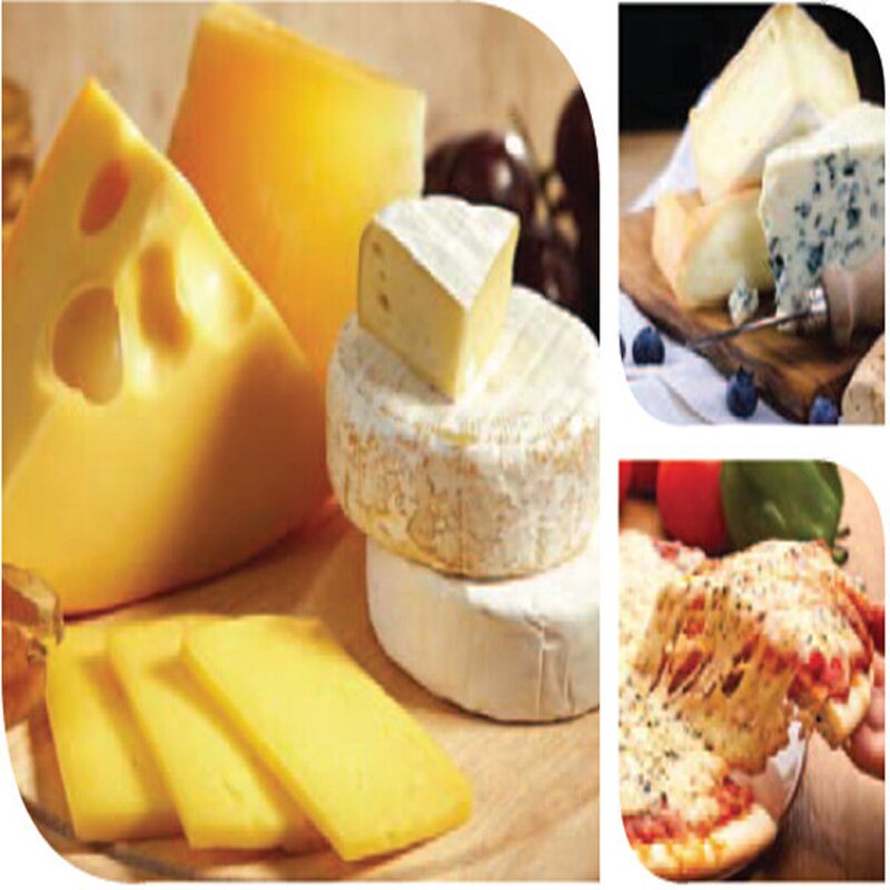 5'-Ribonucleotide I+G - Food Grade Dried Enzymes Flavoring Agent