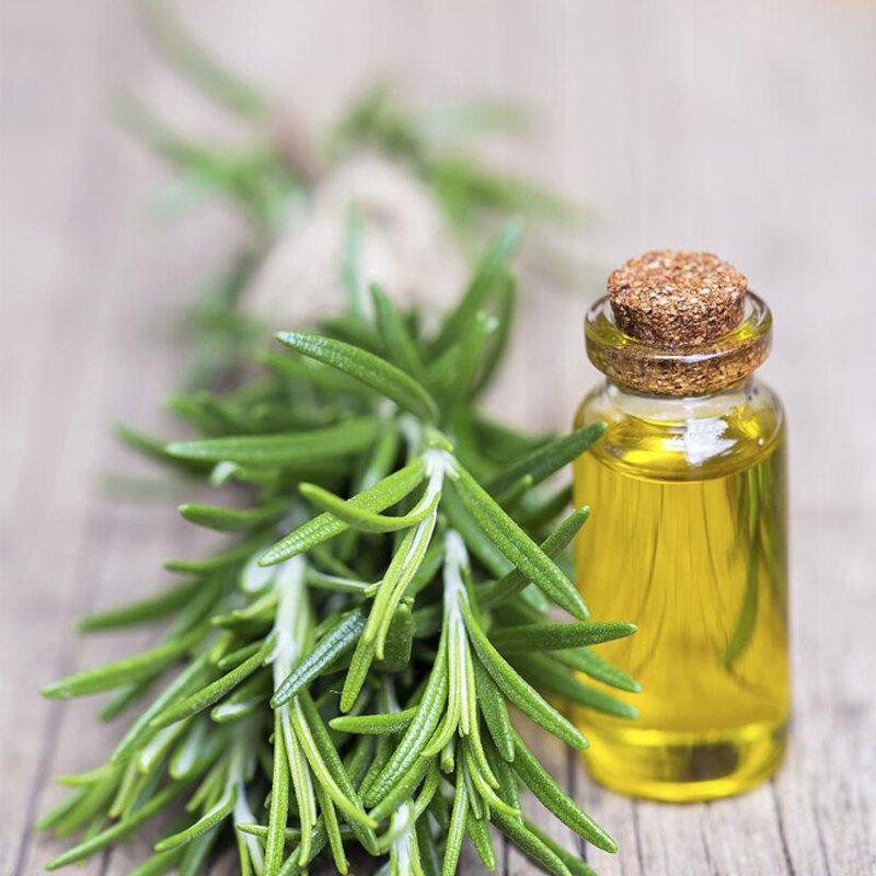 Rosemary Extract Liquid - 5% Oil Soluble Food Grade FCC Certified Colorant
