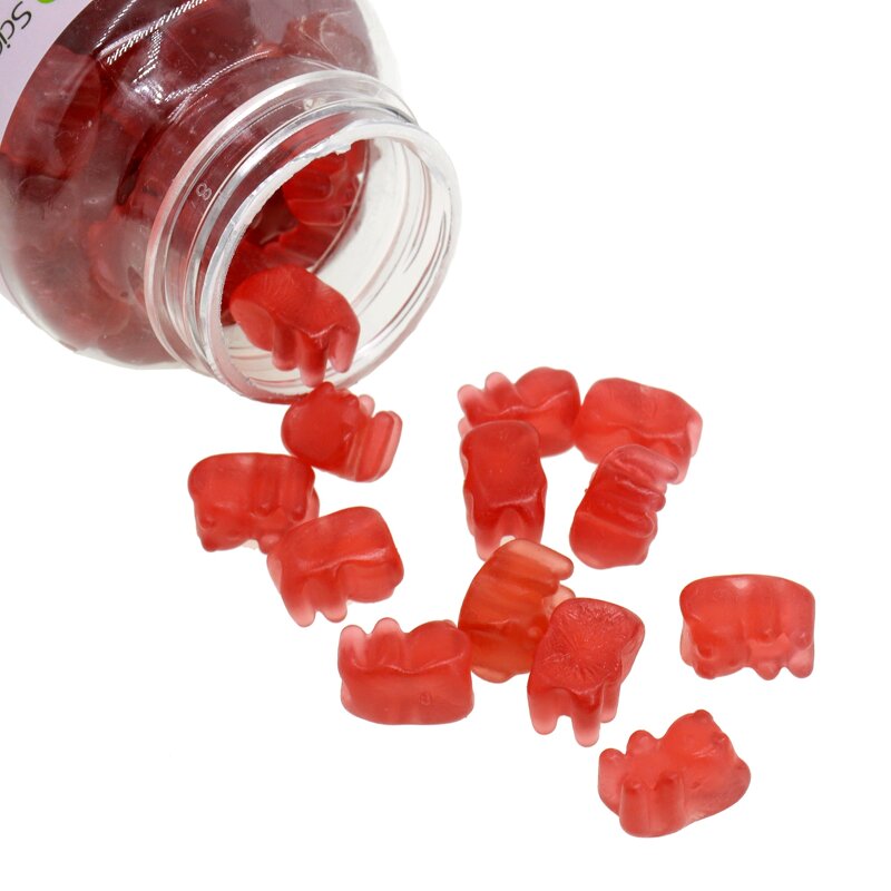 Immune Gummy Manufacturer - for Kids with Vitamin C Zinc Echinacea Pectin