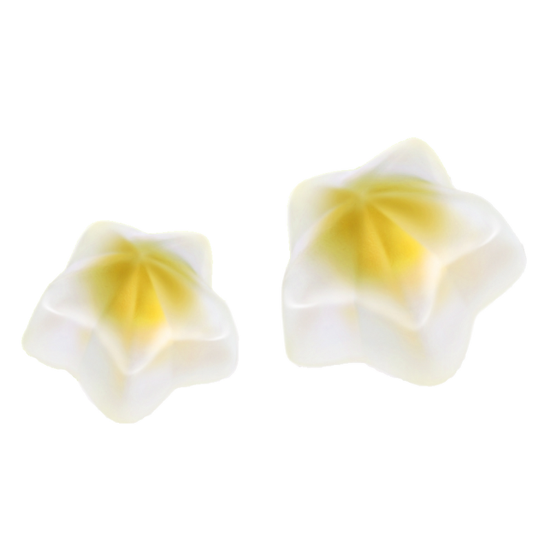 Focus Gummy Manufacturer - Brain Support Candy for Adult & Private Label