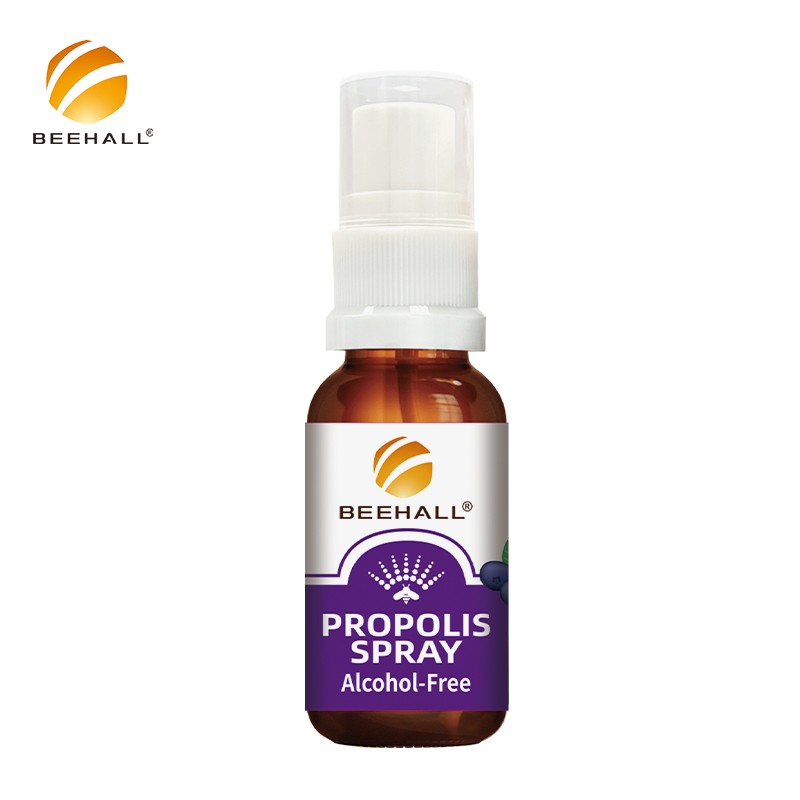 Propolis Factory Hot Sale Alcohol-Free Blueberry Flavor Propolis Oral Spray ODM