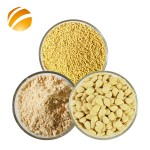 Bee Pollen