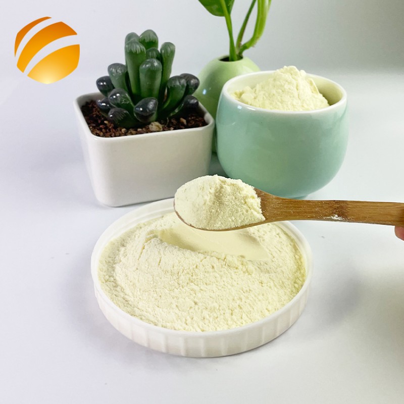 Manufacturer Pure Natural Royal Jelly Freeze-Dried Powder 10-HDA 5% Private Label