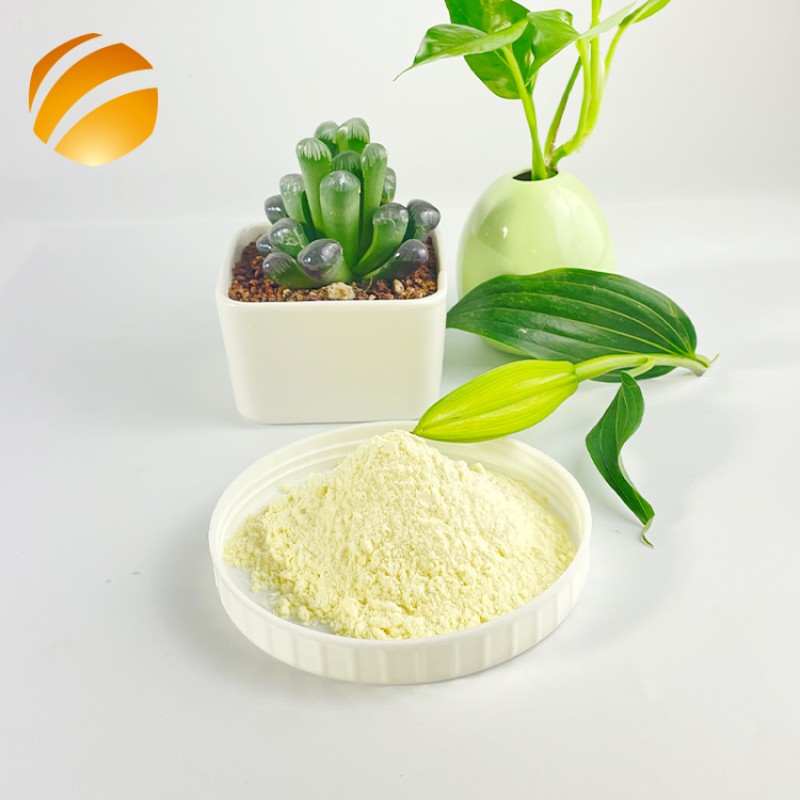 Source Factory Food Grade Halal Fresh Royal Jelly Powder Competitive Price