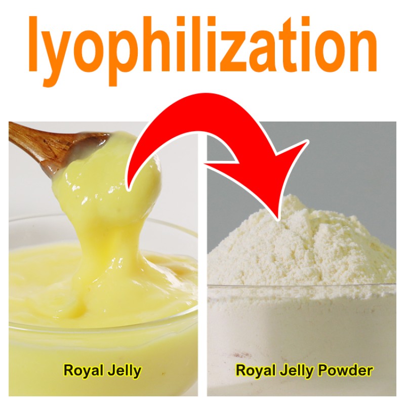 GMP Factory Hot Sale High Quality Natural Freeze-Dried Royal Jelly Powder Wholesale