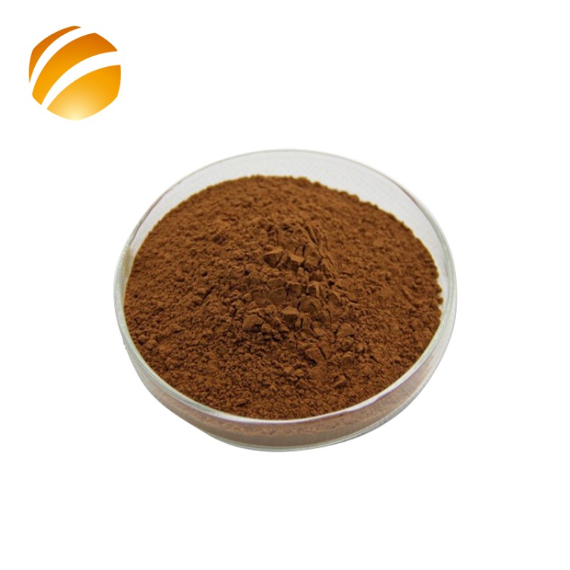 Source Supplier Natural Food Grade Propolis Extract Powder Raw Material Bulk