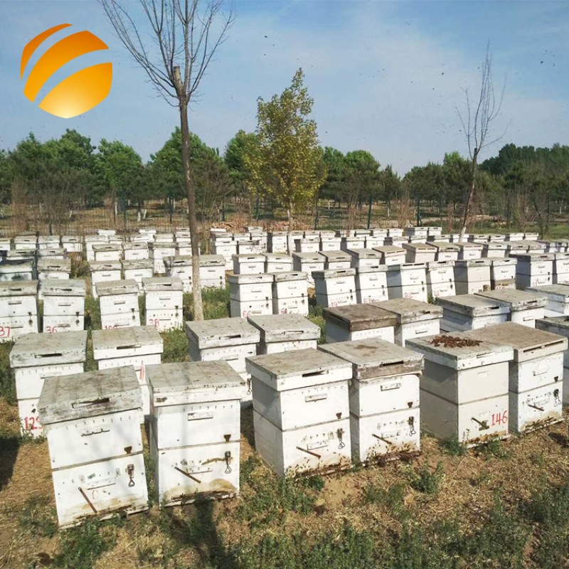 Honey Supplier ISO GMP Certified Bulk Polyflower Honey Factory Price