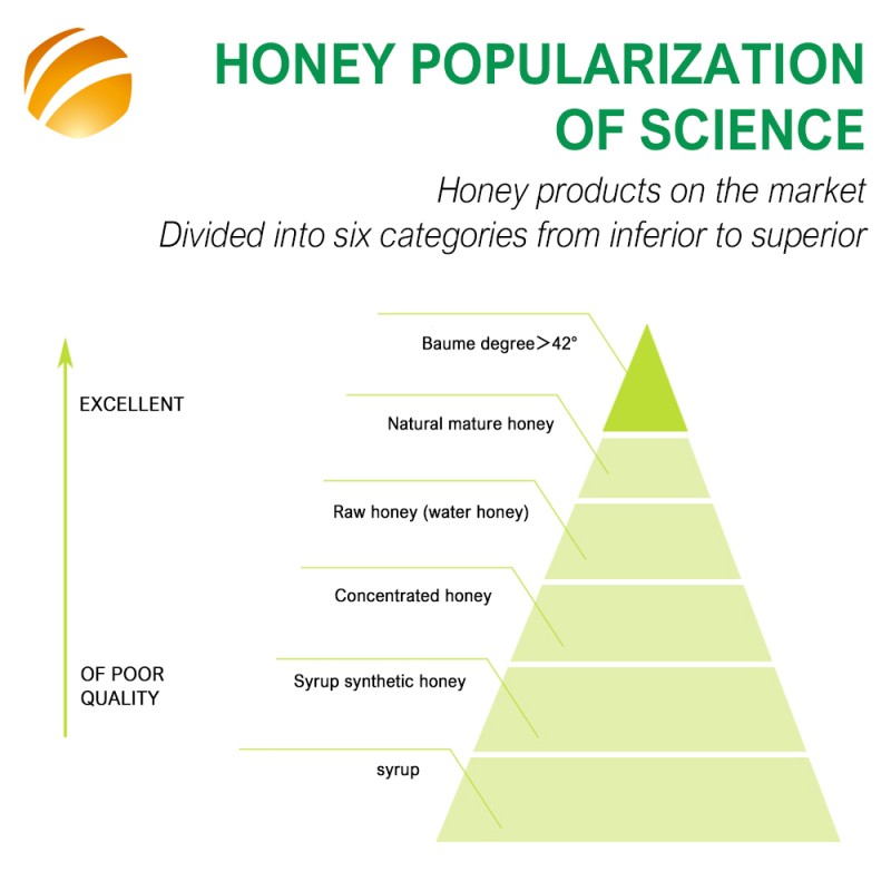 Source Factory 500g Pure Bee Honey Vitex Honey Bulk Order