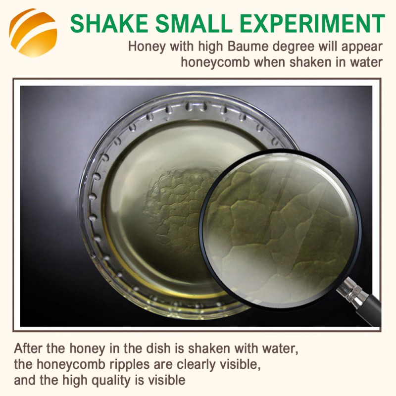 Source Factory 500g Pure Bee Honey Vitex Honey Bulk Order