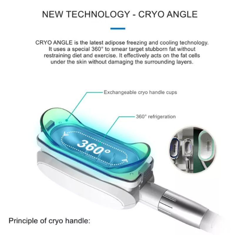 EMS Sculpting Device Factory - BOWKET 4 Handles Electromagnetic Muscle Stimulation for Build Muscle