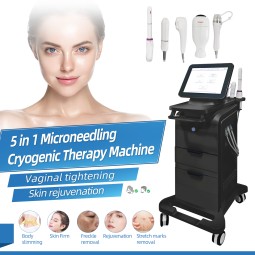 RF Microneedling Machine Factory - BOWKET 7D Fine Carving Privacy Hot Plastic Fractional Vacuum