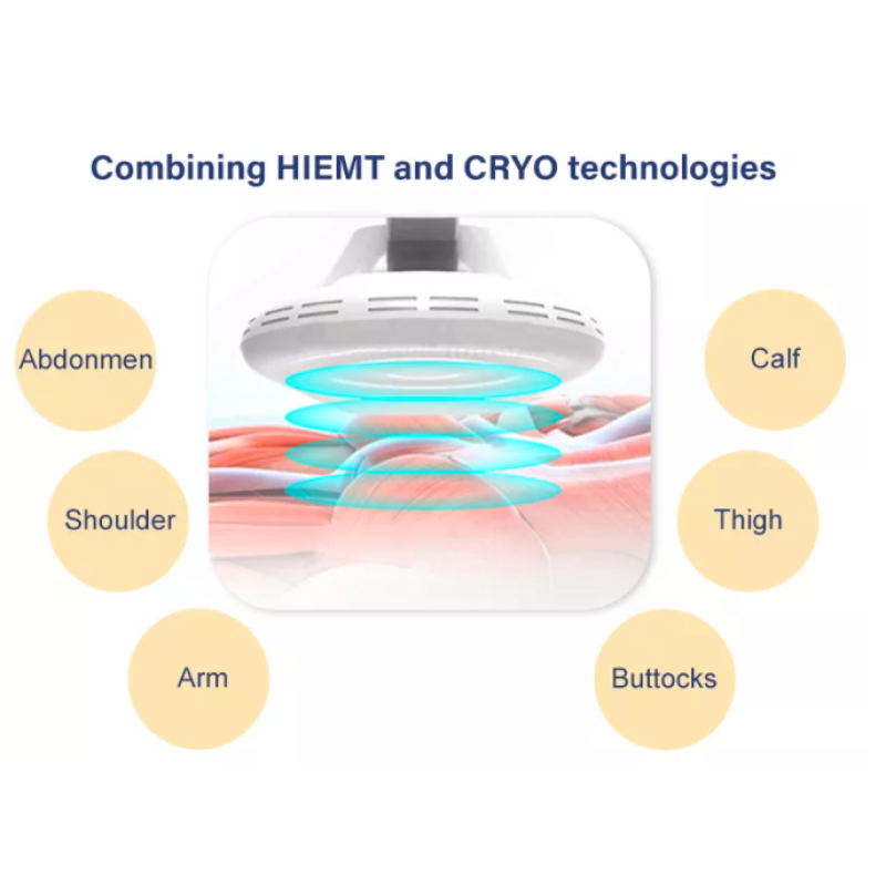 EMS Sculpting Device Factory - BOWKET 4 Handles Electromagnetic Muscle Stimulation for Build Muscle