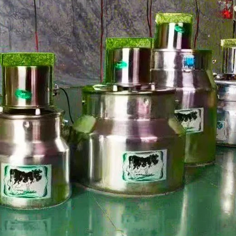 Milk Mixer Manufacturer - Portable Electric Stainless Steel Single Serve Household