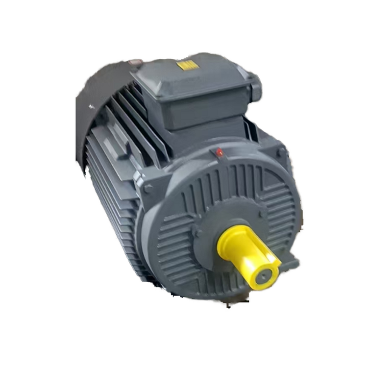 Permanent Magnet Alternator Generator Manufacturer - Three-Phase 5kw 750RPM 50Hz for Milking Machines