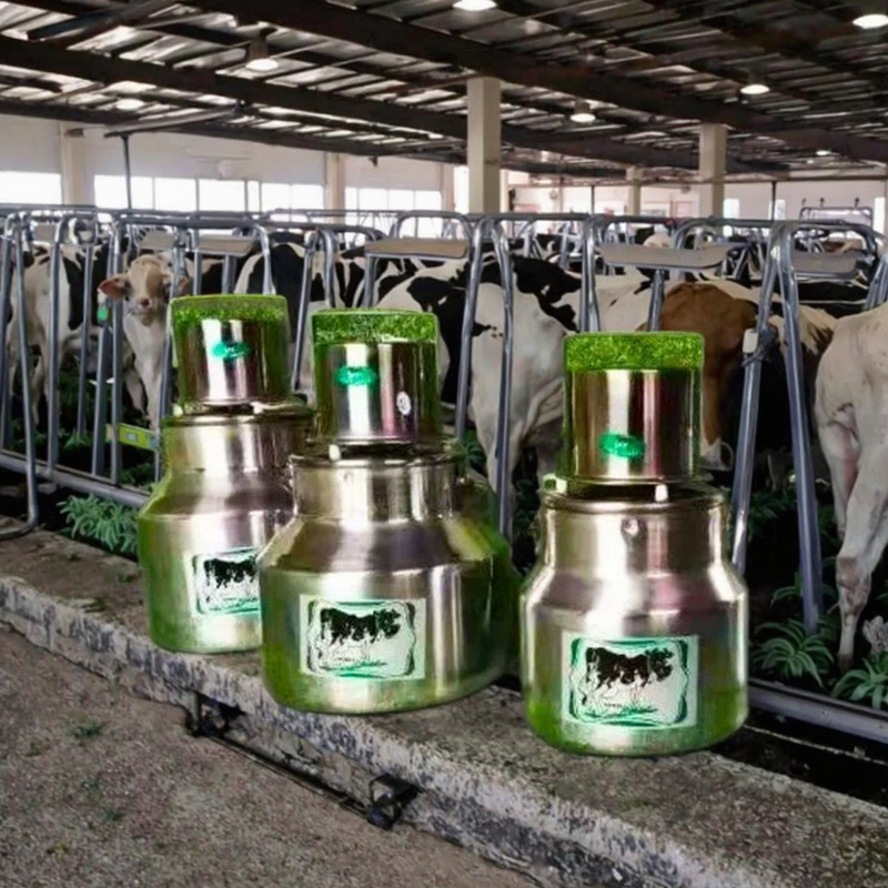 Milk Mixer Manufacturer - Portable Electric Stainless Steel Single Serve Household