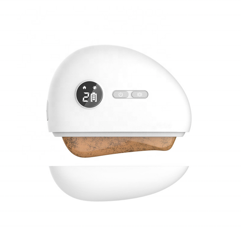 Beauty Massager Device Manufacturer - EBSM5 Bianstone Infrared Anti Wrinkles All in One