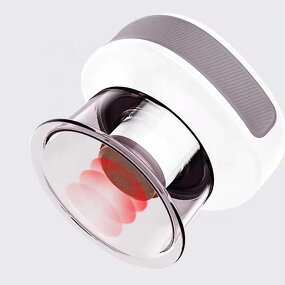 Electric Cupping Therapy Set Manufacturer - EBS9 Smart Bian-stone with Vacuum Red Light