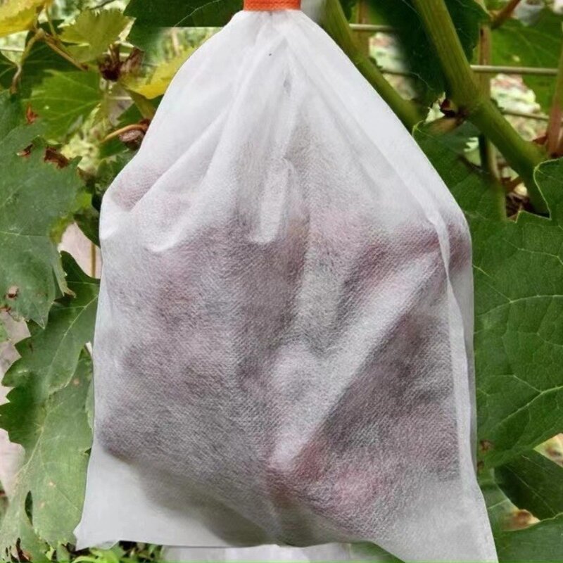 Nonwoven Fabric Manufacturer - Factory Supply High Tear Resistant 100% pp Spunbond for Agriculture