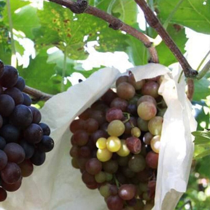 Fruit Protection Bags Manufacturer - Non-Woven Fabric Fruit Netting Cover Bags With Hole for Garden
