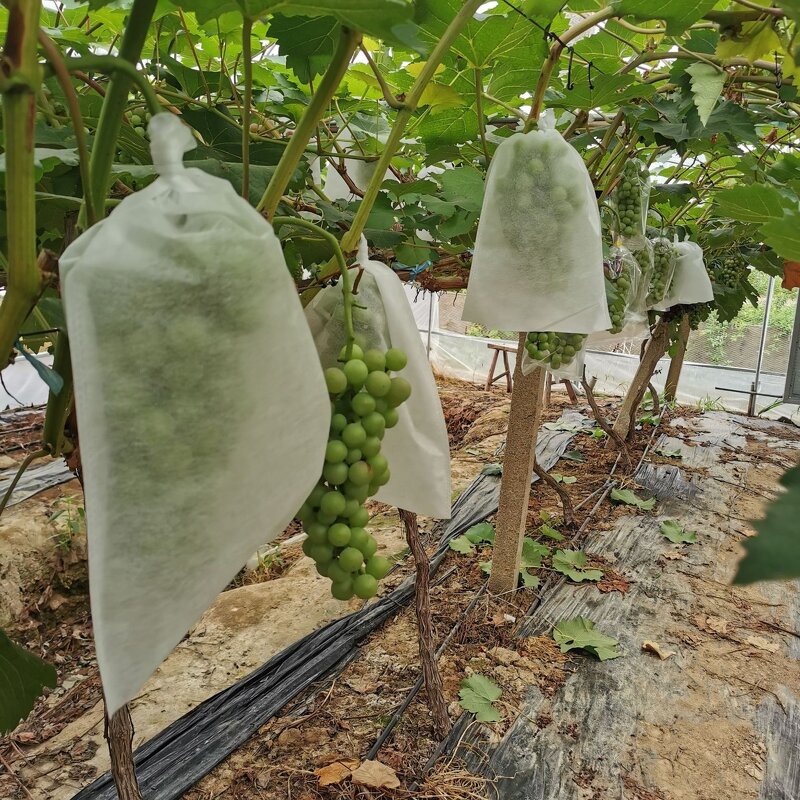Fruit Protection Bags Manufacturer - Non-Woven Fabric Fruit Netting Cover Bags With Hole for Garden