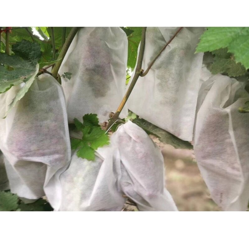 Nonwoven Fabric Manufacturer - Factory Supply High Tear Resistant 100% pp Spunbond for Agriculture