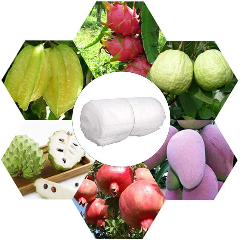 Nonwoven Fabric Manufacturer - Factory Supply High Tear Resistant 100% pp Spunbond for Agriculture