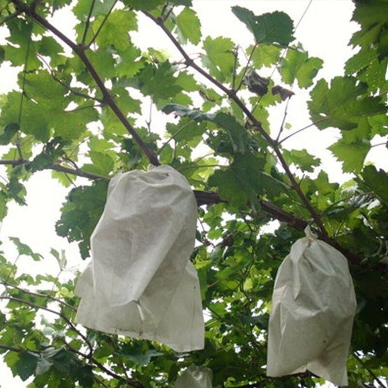 Fruit Protection Bags Manufacturer - Non-Woven Fabric Fruit Netting Cover Bags With Hole for Garden