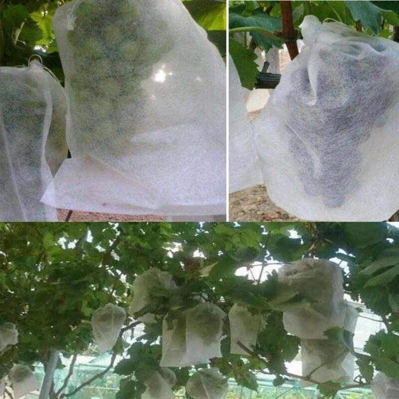 Fruit Protection Bags Manufacturer - Non-Woven Fabric Fruit Netting Cover Bags With Hole for Garden