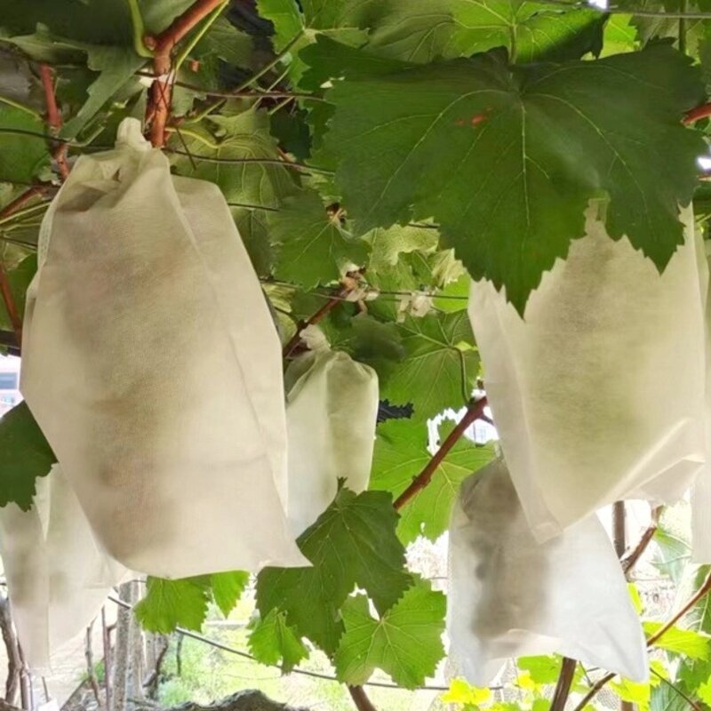 Fruit Protection Bags Manufacturer - Non-Woven Fabric Fruit Netting Cover Bags With Hole for Garden