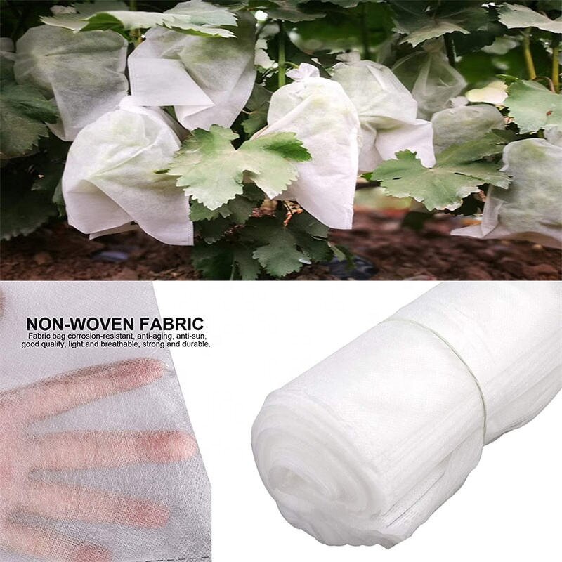 Nonwoven Fabric Manufacturer - Factory Supply High Tear Resistant 100% pp Spunbond for Agriculture