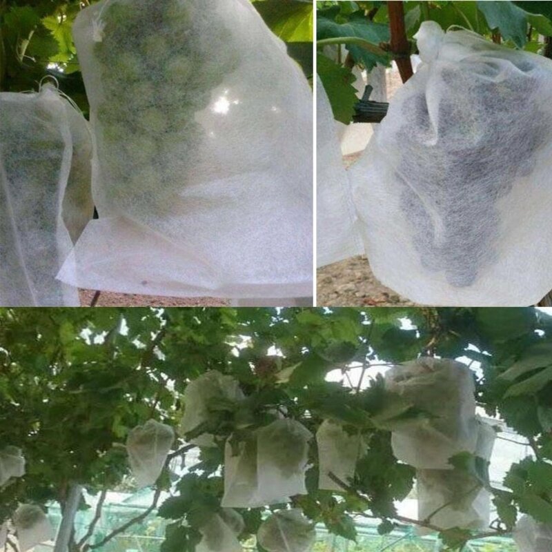 Fruit Protection Bags Manufacturer - Non-Woven Fabric Fruit Netting Cover Bags with Hole for Garden