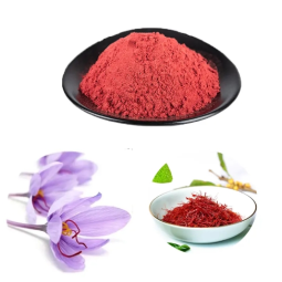 Polygonum Extract - OEM Organic Heshouwu Powder