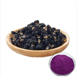 Polygonatum Powder - OEM Organic Huangjing