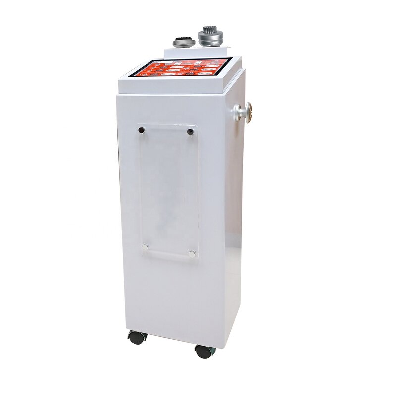 Therapy Machine Manufacturer - DTY Thermal Magnetic Spectrum Light Negative Ion Personal Care Vacuum Spa