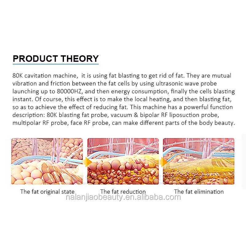 Anti-Cellulite Machine - Fast Slim Body Sculpt Fat Reduction Tool