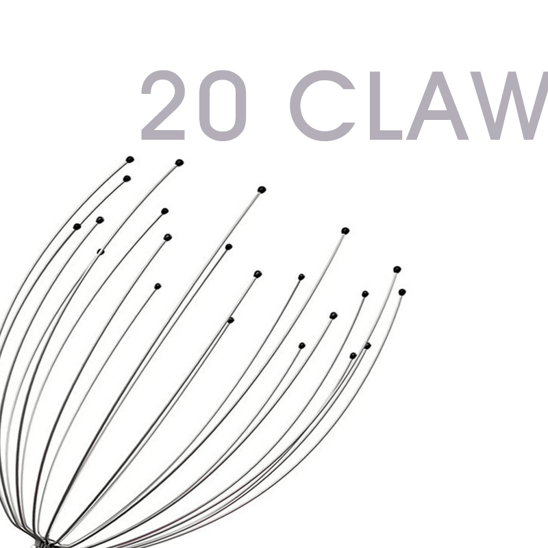 Octopus Claw Head Massager - Foreign Trade 20/12 Claw Stainless Steel Boxed Tool