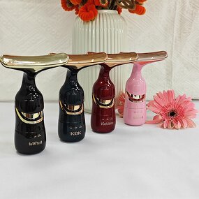 Face Lifting Machine Manufacturer - Lezim Anti-aging Face and Neck Home Use Neck Lifting Beauty