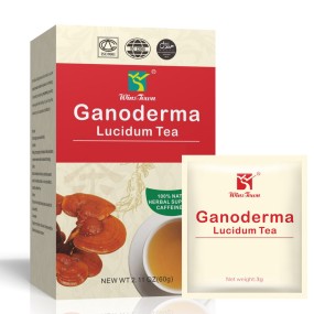 Ganoderma Tea Factory - Winstown Reishi Tea Bags Wholesale Lingzhi Detox Natural Organic Herbal