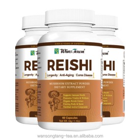 Reishi Mushroom Pills Factory - Customized Herbal Reishi Powder Red Reishi Extract Capsules