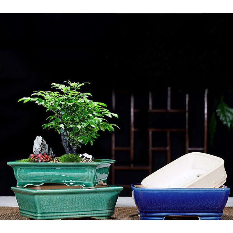 Ceramic Bonsai Pot - Large Chinese Style Garden Outdoor Indoor Flower Planter