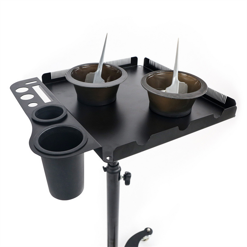 Metal Wig Stand - Adjustable Thickened Hair Extension Dyeing Trolley Tool