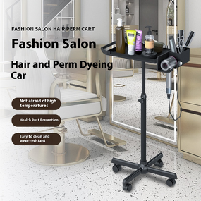 Salon Hairdressing Cart - Direct Supply Metal Armrest Beauty Storage Tool