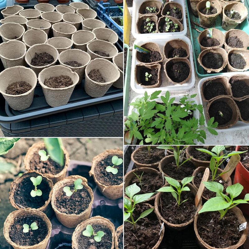 Biodegradable Seed Pot Kit - 6cm Fibre Country Style Garden Planting Tool